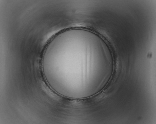 X0000110731404200906261508