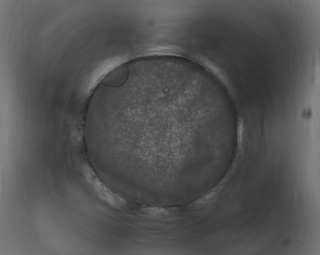 X0000110731405200906261508