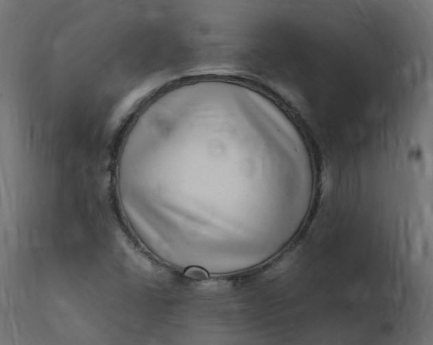 X0000110731406200906261508