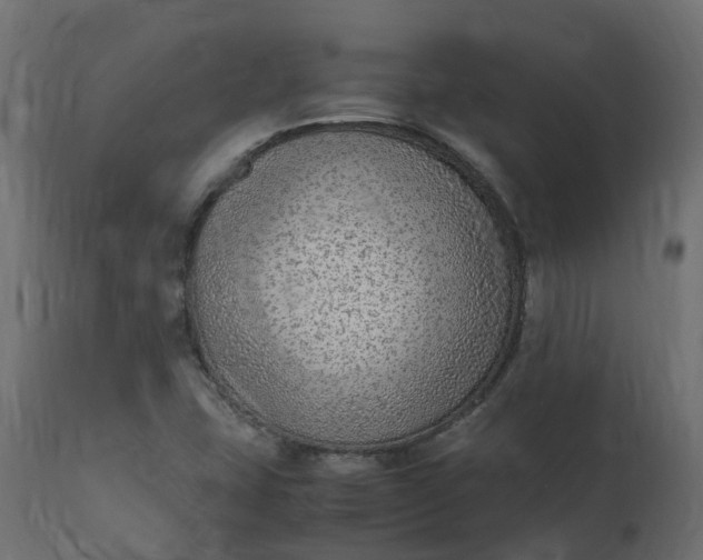 X0000110731407200906261508