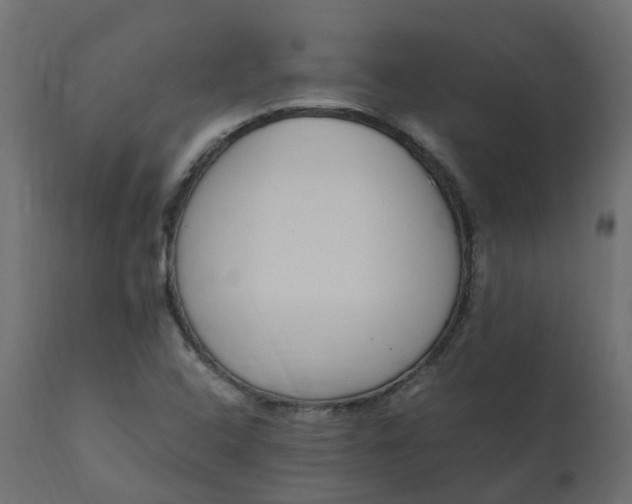 X0000110731408200906261508