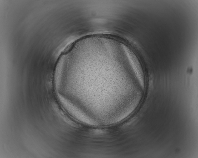 X0000110731409200906261508