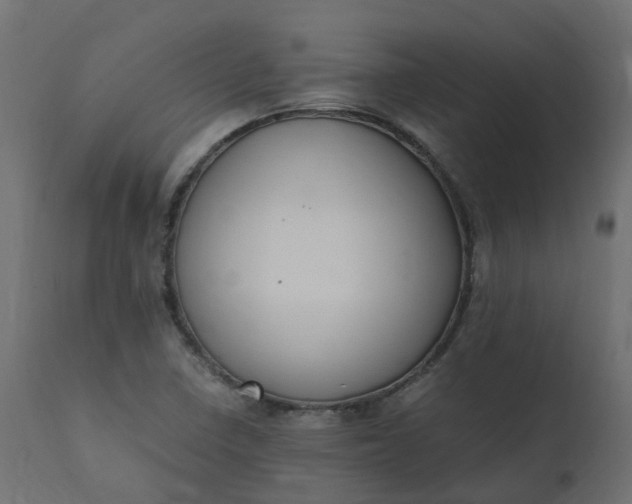 X0000110731410200906261508