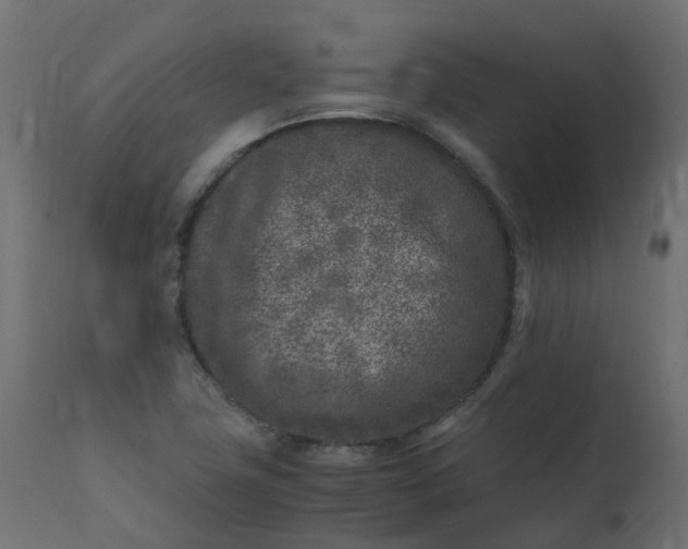 X0000110731411200906261508