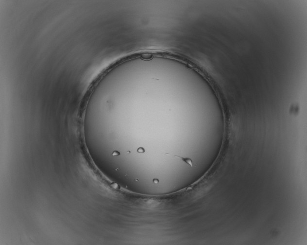 X0000110731412200906261508