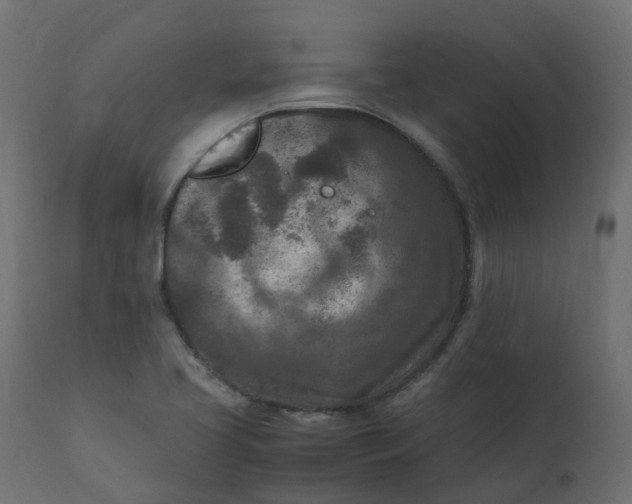 X0000110731413200906261508