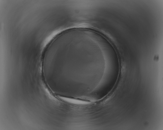 X0000110731414200906261508