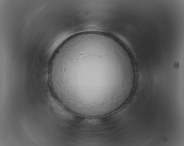 X0000110731415200906261508