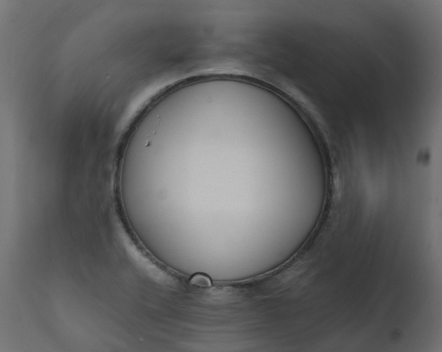 X0000110731416200906261508