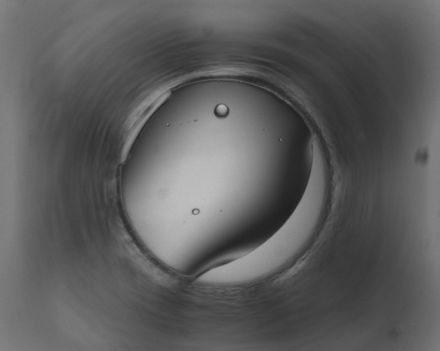 X0000110731417200906261508