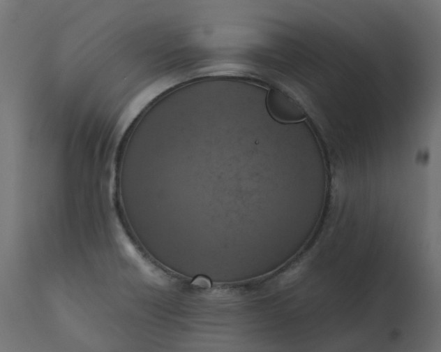 X0000110731418200906261508