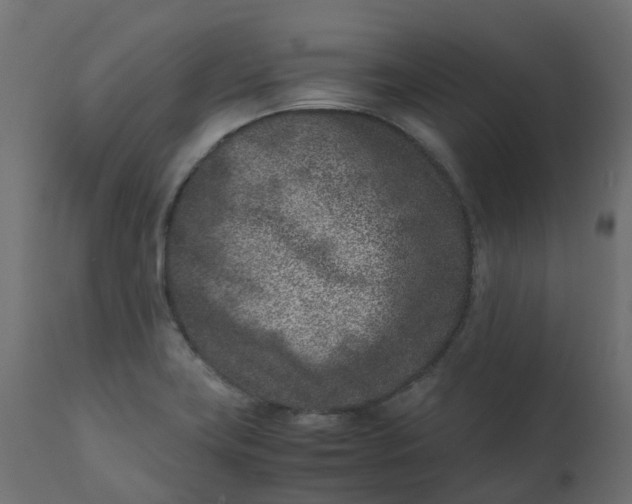 X0000110731419200906261508