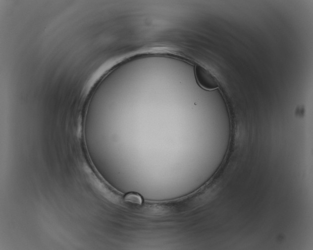 X0000110731420200906261508