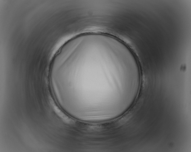 X0000110731421200906261508