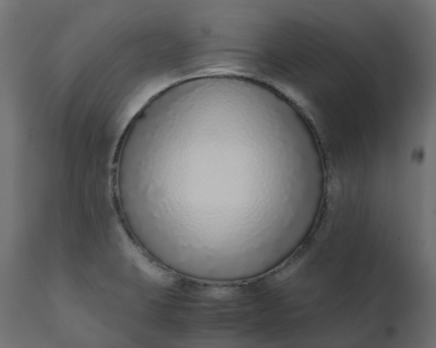 X0000110731423200906261508