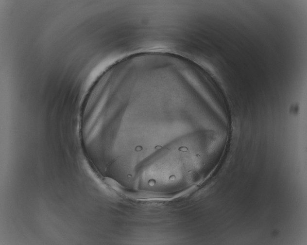 X0000110731424200906261508