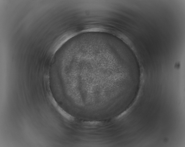 X0000110731425200906261508