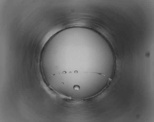 X0000110731426200906261508