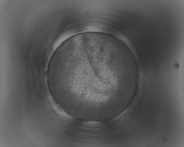 X0000110731427200906261508