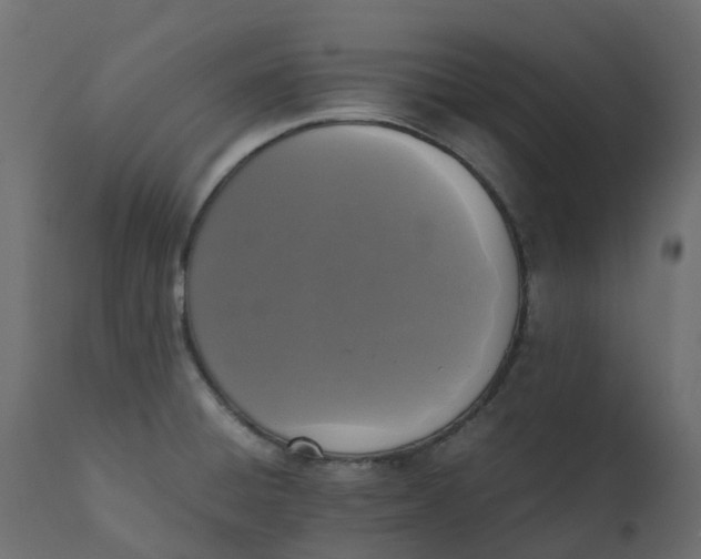 X0000110731428200906261508