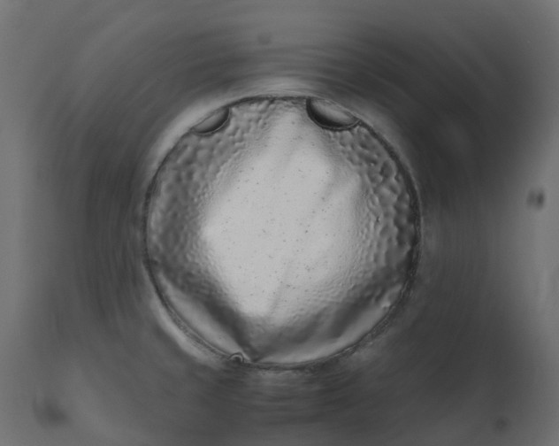 X0000110731429200906261508