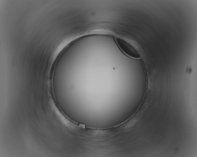 X0000110731430200906261508