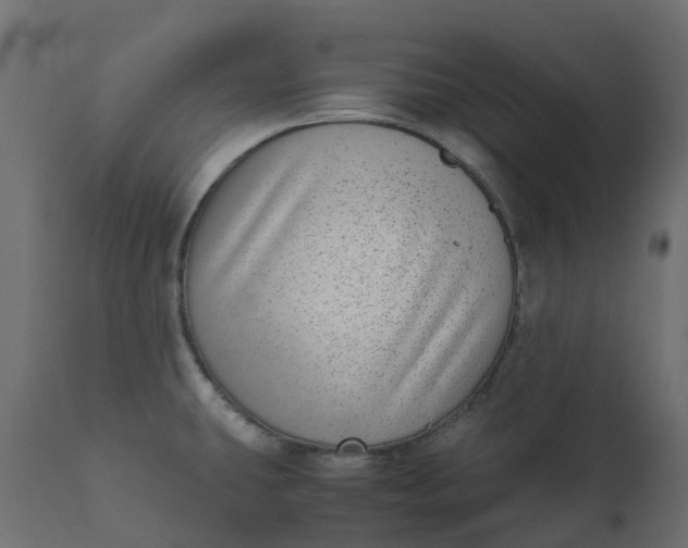 X0000110731431200906261508