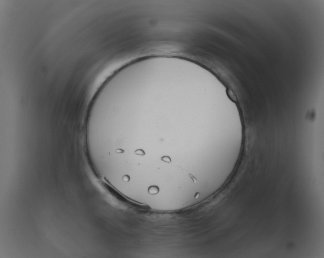 X0000110731432200906261508