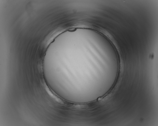 X0000110731433200906261508