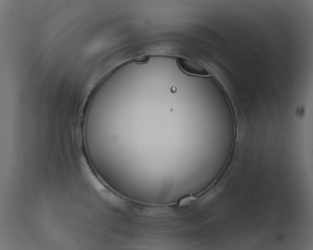 X0000110731434200906261508