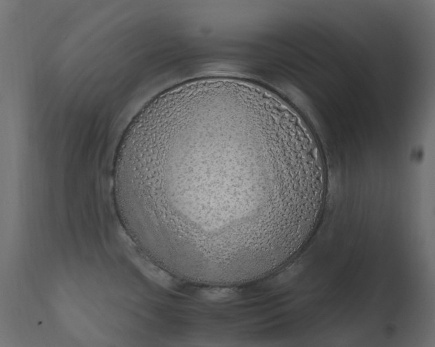 X0000110731435200906261508