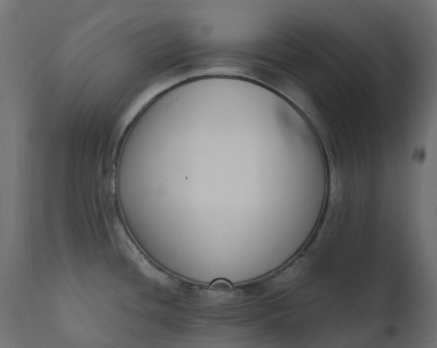 X0000110731436200906261508