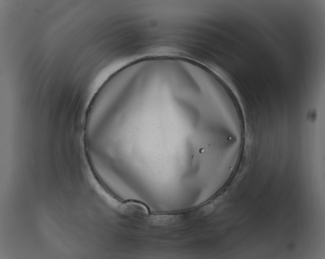 X0000110731437200906261508