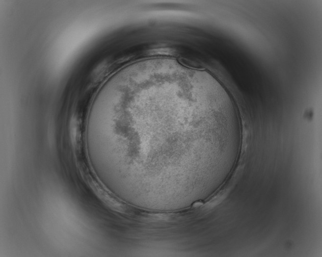 X0000110731438200906261508