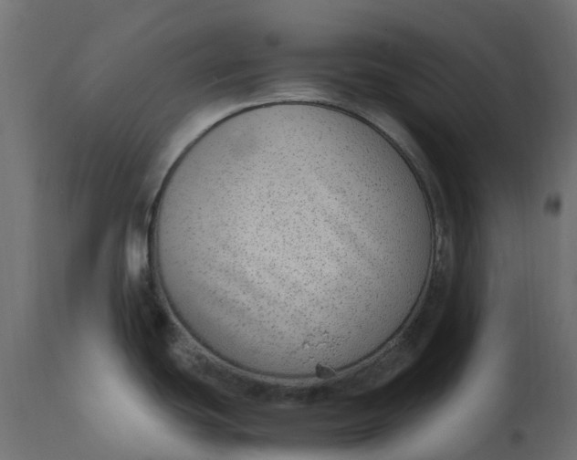 X0000110731439200906261508