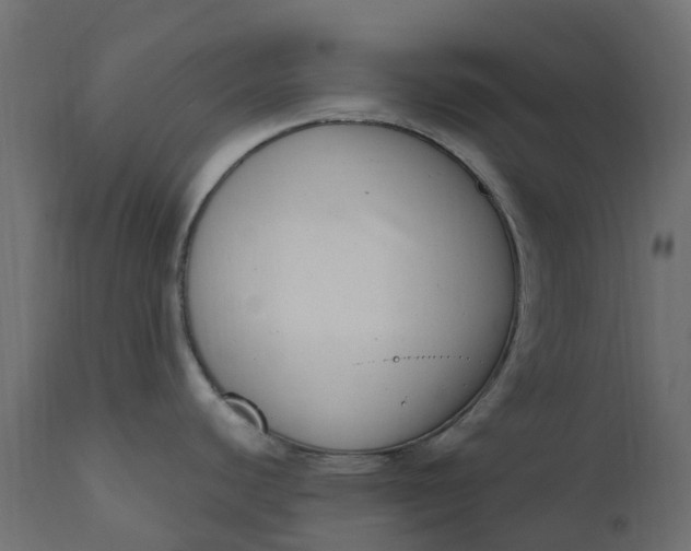 X0000110731440200906261508