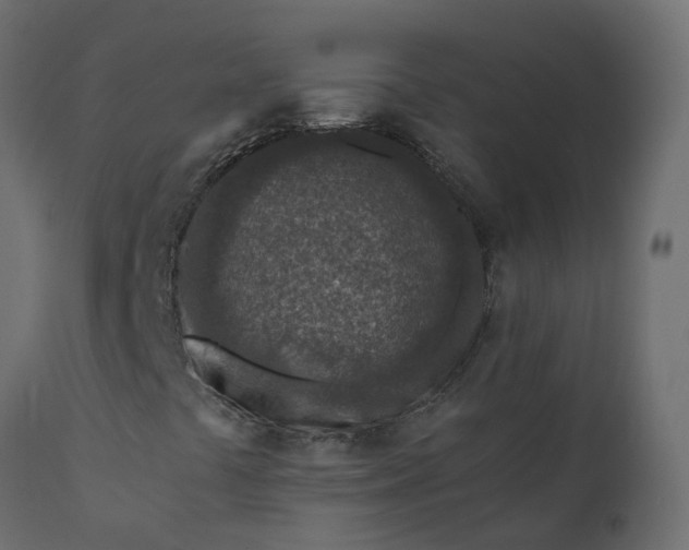 X0000110731441200906261507