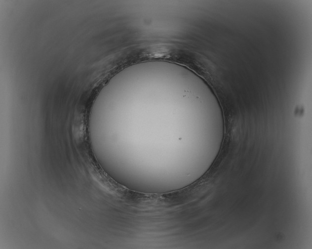 X0000110731442200906261507