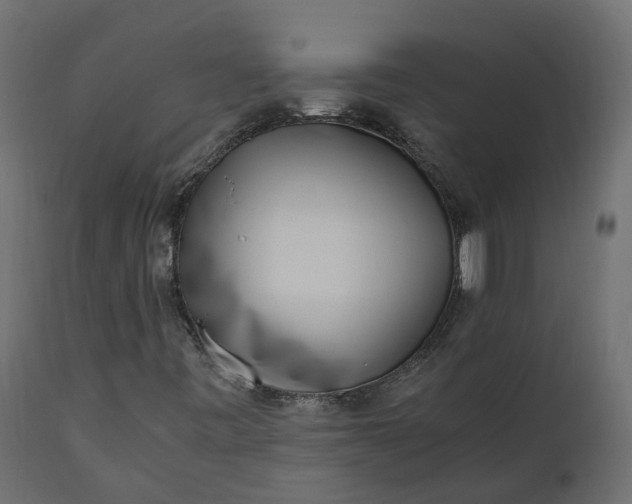 X0000110731443200906261507