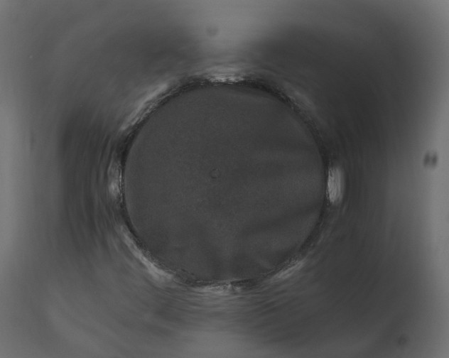 X0000110731444200906261507