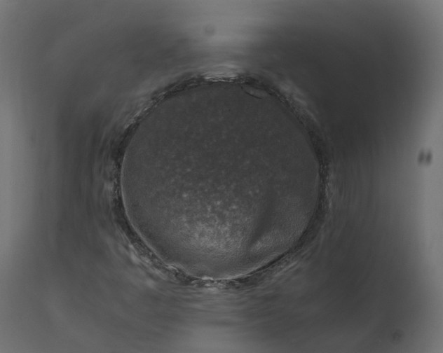 X0000110731445200906261507