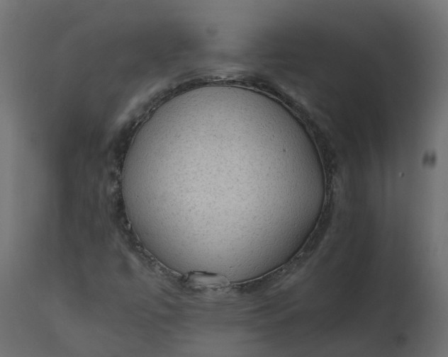 X0000110731447200906261507