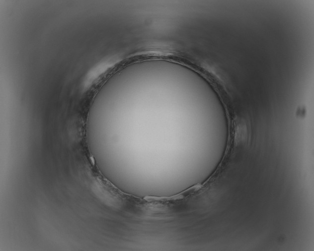 X0000110731448200906261507