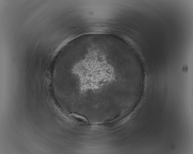 X0000110731449200906261507