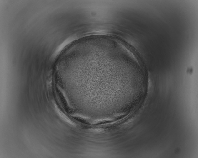 X0000110731450200906261507