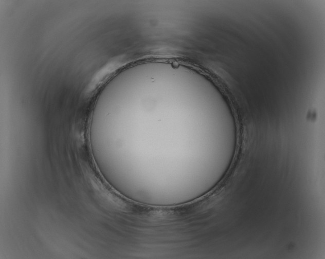 X0000110731451200906261507