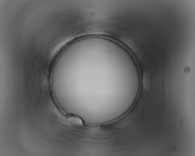 X0000110731452200906261507