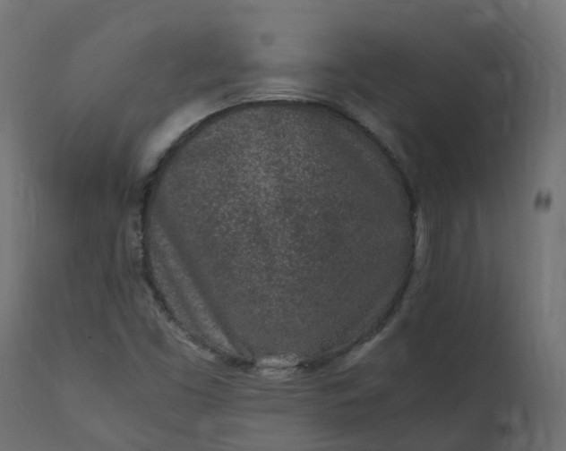 X0000110731453200906261507