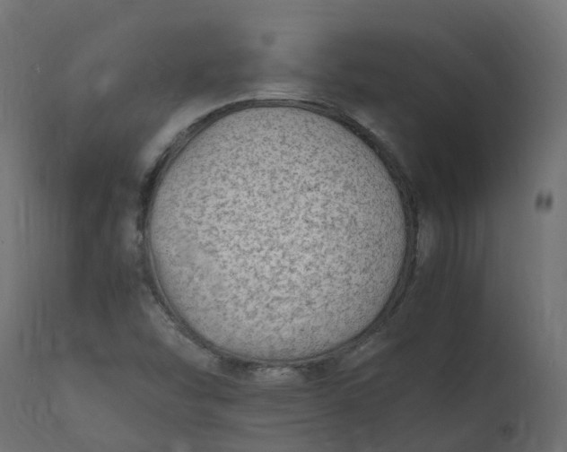 X0000110731454200906261507