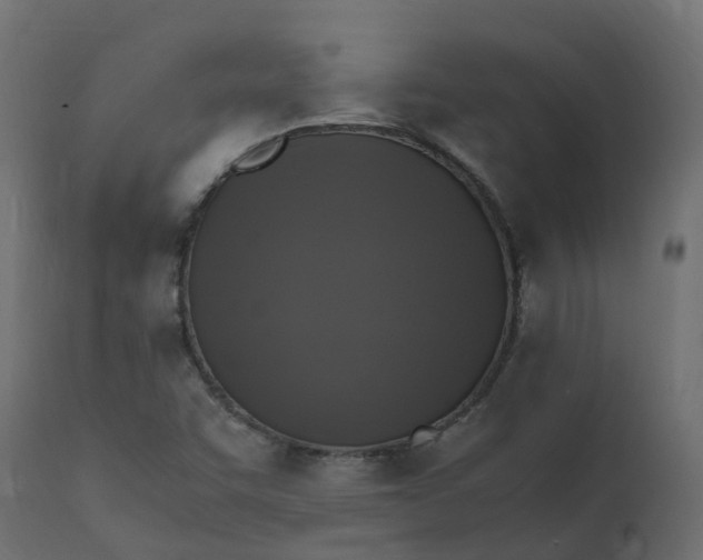 X0000110731455200906261507